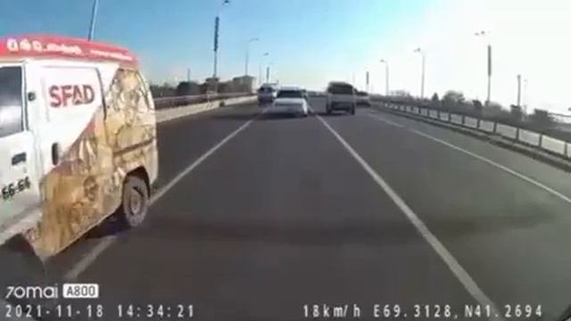 Шунақалардан эҳтиёт бўлинглар!