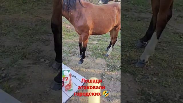 9 сентября 2023 г.