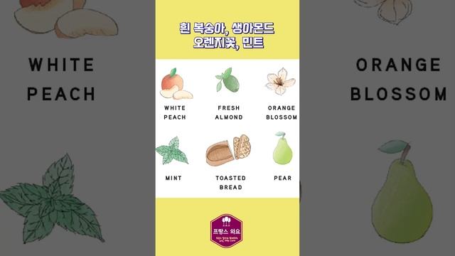 파이퍼 하이직 알아보기 #Shorts