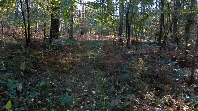 Идем купать камеру.