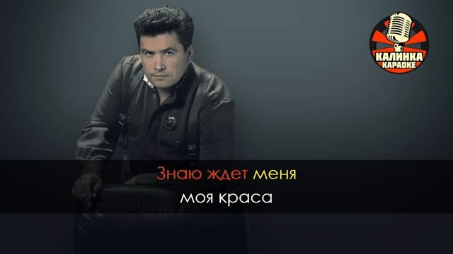 Караоке Любэ - Ты неси меня река