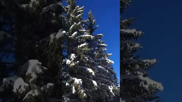 1000046762.mp4 Красивый клип и муз.сопровождение. Клип не мой.