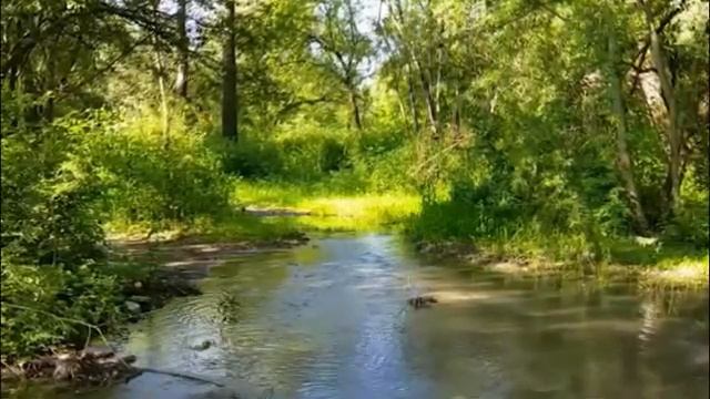 Берега    Николай Жуков слова В Умрихина_sejEeQ0ZXl0_360p