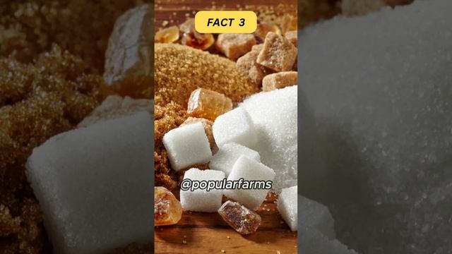 You Should Know These 3 Facts About Sugar.  #carnivore #weightloss  #health