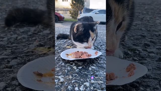 Им больно в трудный час...