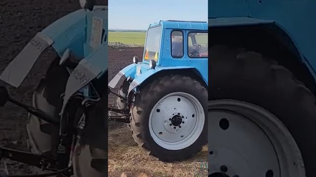 Трактор белорус везет телгу с навозом