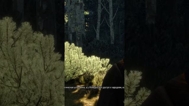 Цири исчезает в неизвестном направлении  #shorts #games #thewitcher #ведьмак