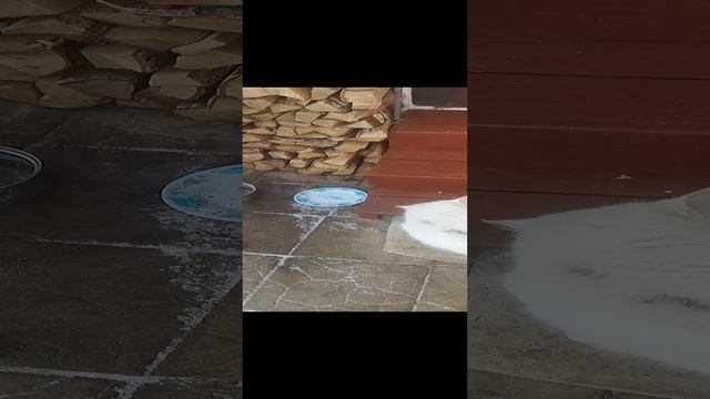 VID_20250104_110719
