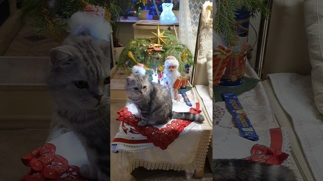 Новогодние вертепы!:)