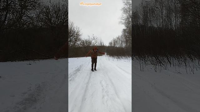 Вытанцовываю в зимнем лесу 🌳❄️🕺😄