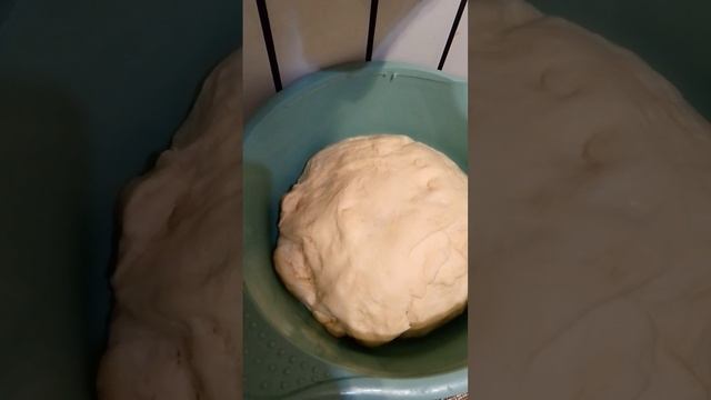 scene_output.mp4