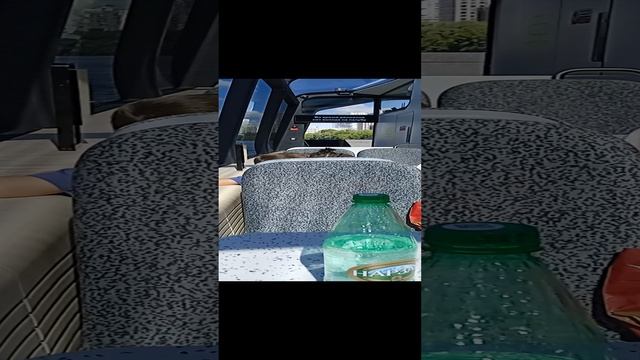 1000005969.mp4