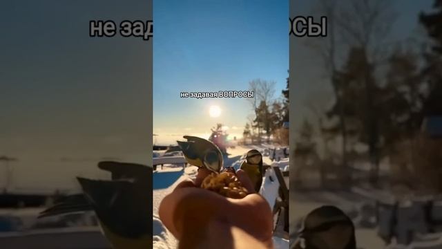 я.есть.наблюдатель.