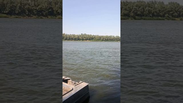 1000029753.mp4