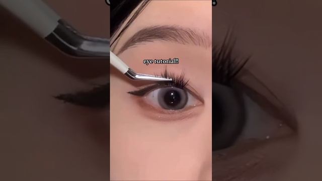 scene_output.mp4