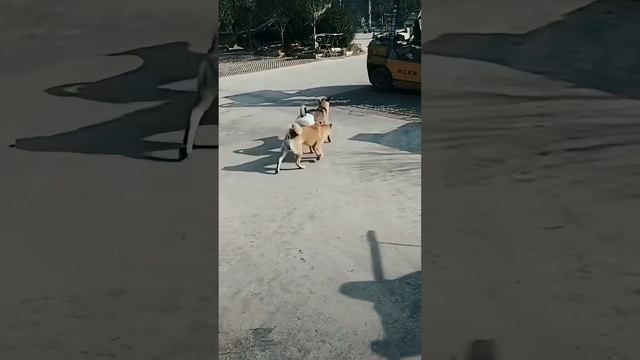 Гениально придумано