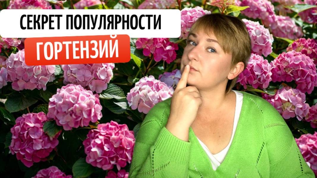 От Цвета до Формы: Удивительное Многообразие Гортензий!