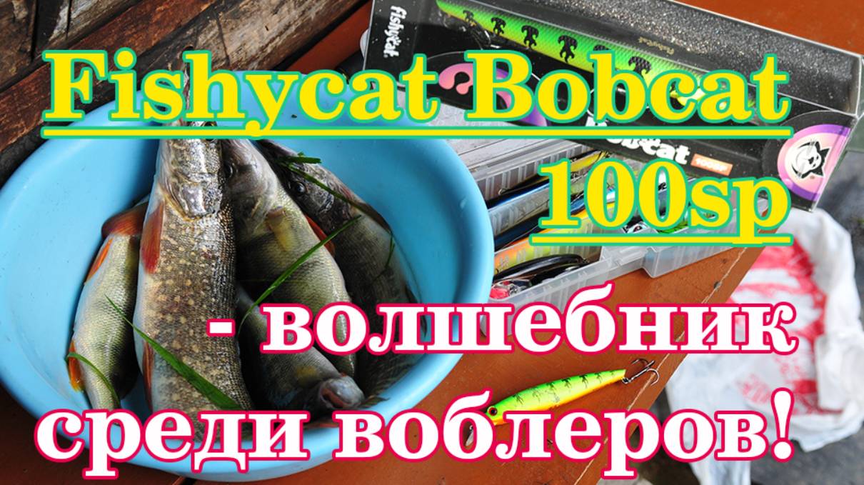 Fishycat Bobcat 100SP - волшебник среди воблеров!