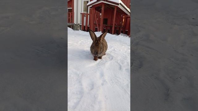 съездили погулять