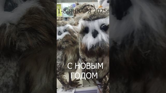 ОХ УЖ ЭТОТ НОВЫЙ ГОД 😱😂