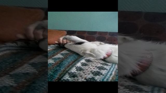 Мы с Бусей на работе
