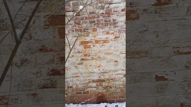 Путешествие по Немецкой заброшенной больнице,,Алленберг"
