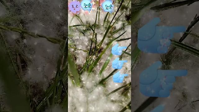 КРАСИВО