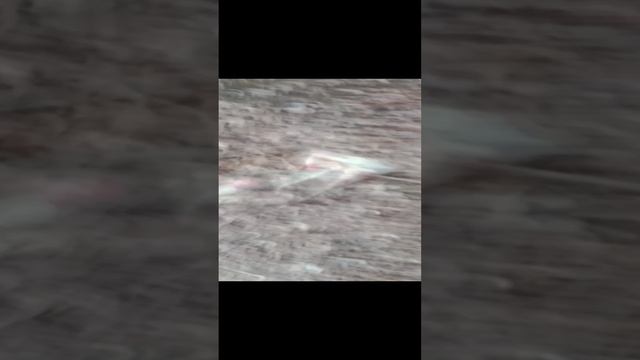 1000014000.mp4