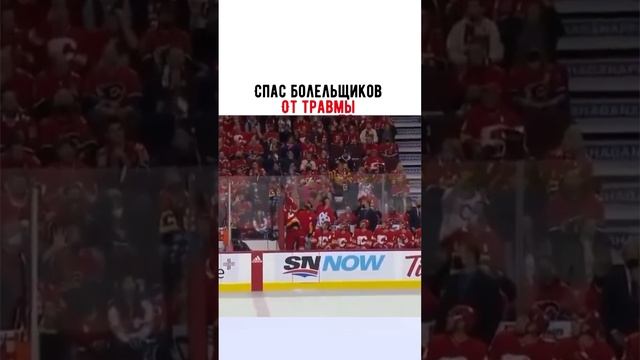 спортшорт