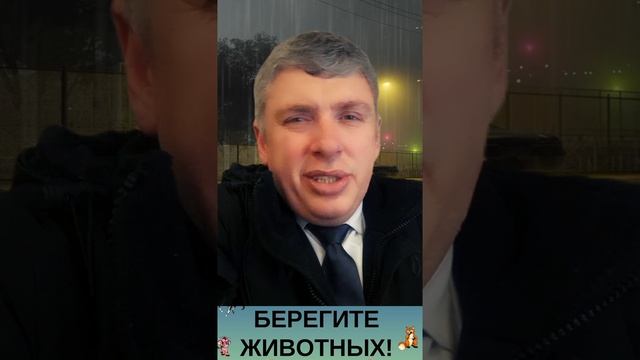 🙀 Слепой катенок ночь на шоссе 😿  БЕРЕГИТЕ ЖИВОТНЫХ! 🍀 Комиссаров Эдуард Михайлович 🍀  #shorts #