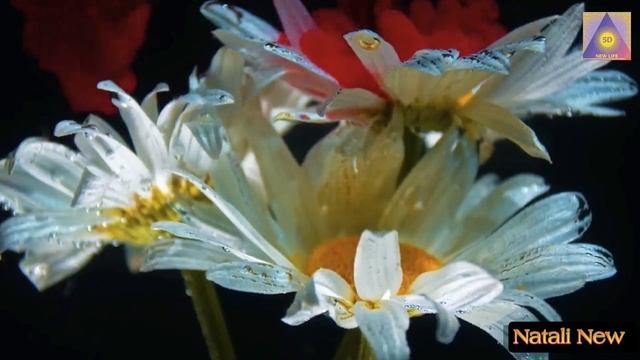Владыки Учительской Системы. Важное по раскрытию Сердца. Ченнелинг от Натали Нью.