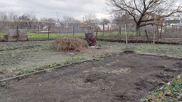 Живем на юге, снега нет.Бочка бездонная.Шашлык