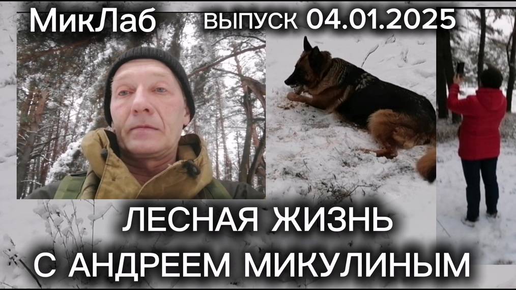 Лесная Жизнь с Андреем Микулиным. Выпуск от 04.01.2025. МикЛаб