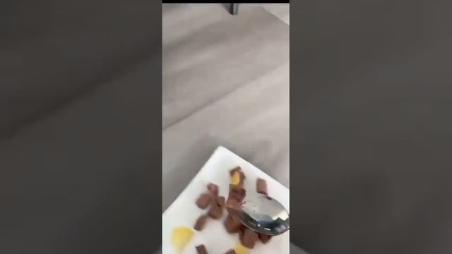 1000070338.mp4