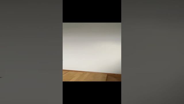 Видеоподтвержение посёлок станции Повадино