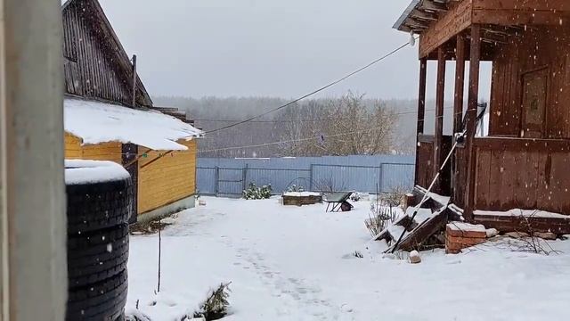 ОБРЕЗКА метельчатой ГОРТЕНЗИИ весной. ЧЕРЕНКОВАНИЕ. Перезимовавшие черенки