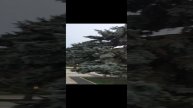 Керчь