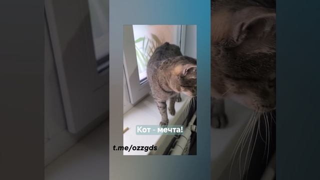 Гагарин.mp4