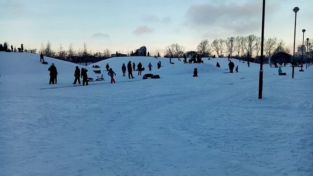 Санкт-Петербург яблоневый сад