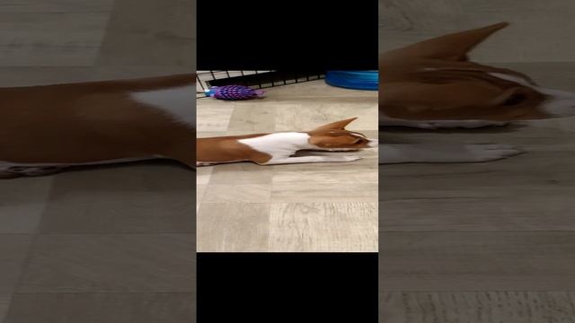 1000018742.mp4