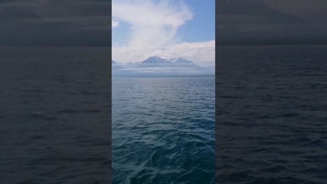 Красивый берег