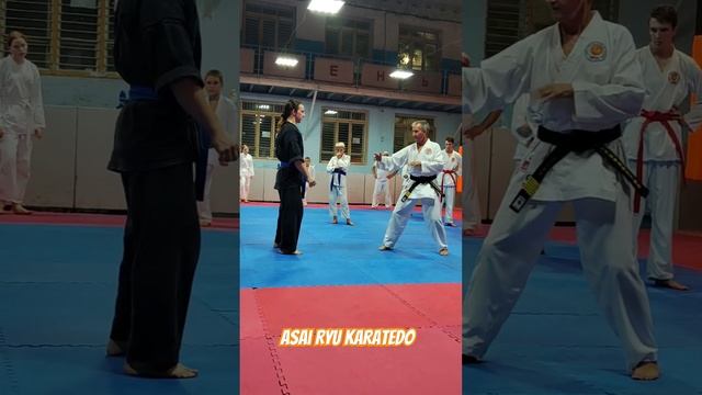 Объяснение техники Ёко Гери кекоми. #asairyu #karate #каратэ