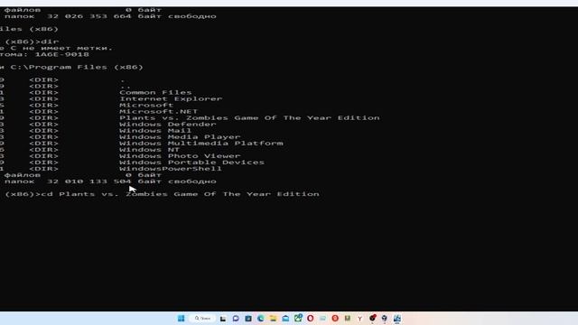windos 10