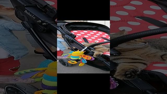 VID_20210829_175226.mp4