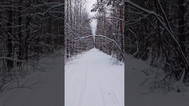 Мистическая Карелия. Зима.