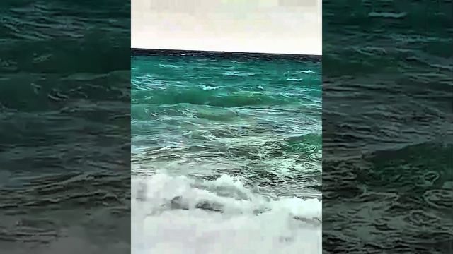 счастье живет рядом с нами