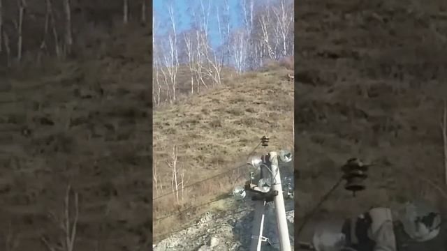 Мы живём в нац парке