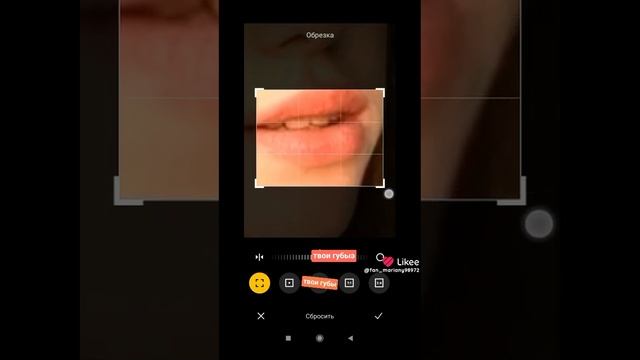 Like_7455760191358032219.mp4