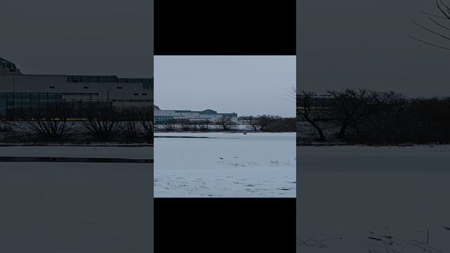 г.Тверь 04.01.25 ⏰9:30, -5°☁️❄️
Рыбалка пуще неволи!