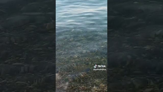 ЧЕ́РНОЕ МОРЕ